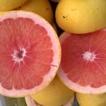 Pomelos-Star-Ruby-Citrus-paradisi